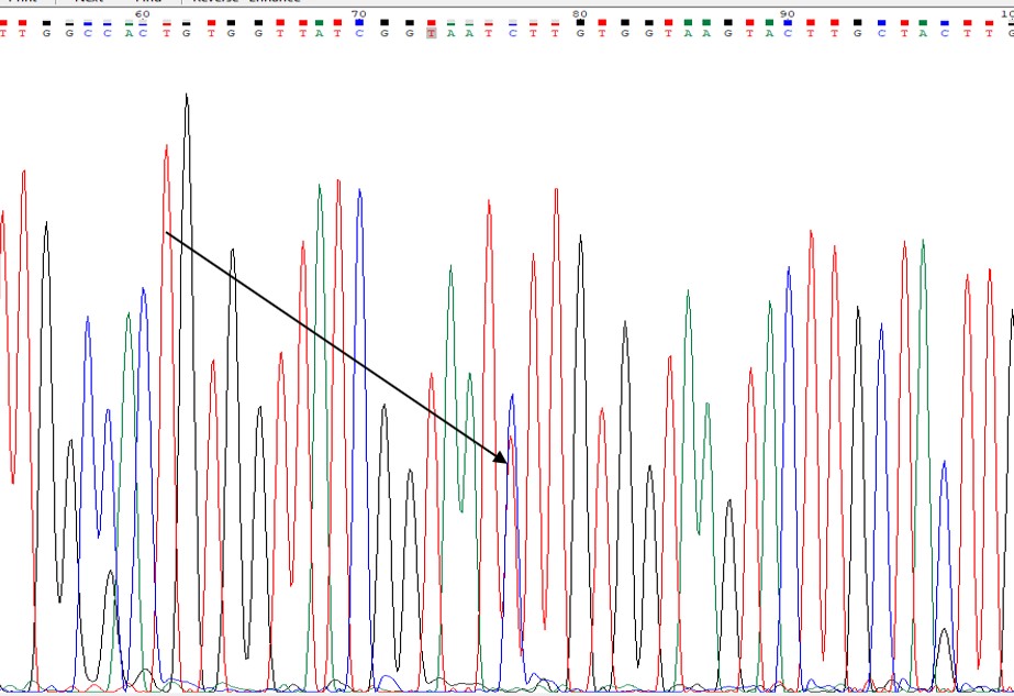 Rostlinolékařství 