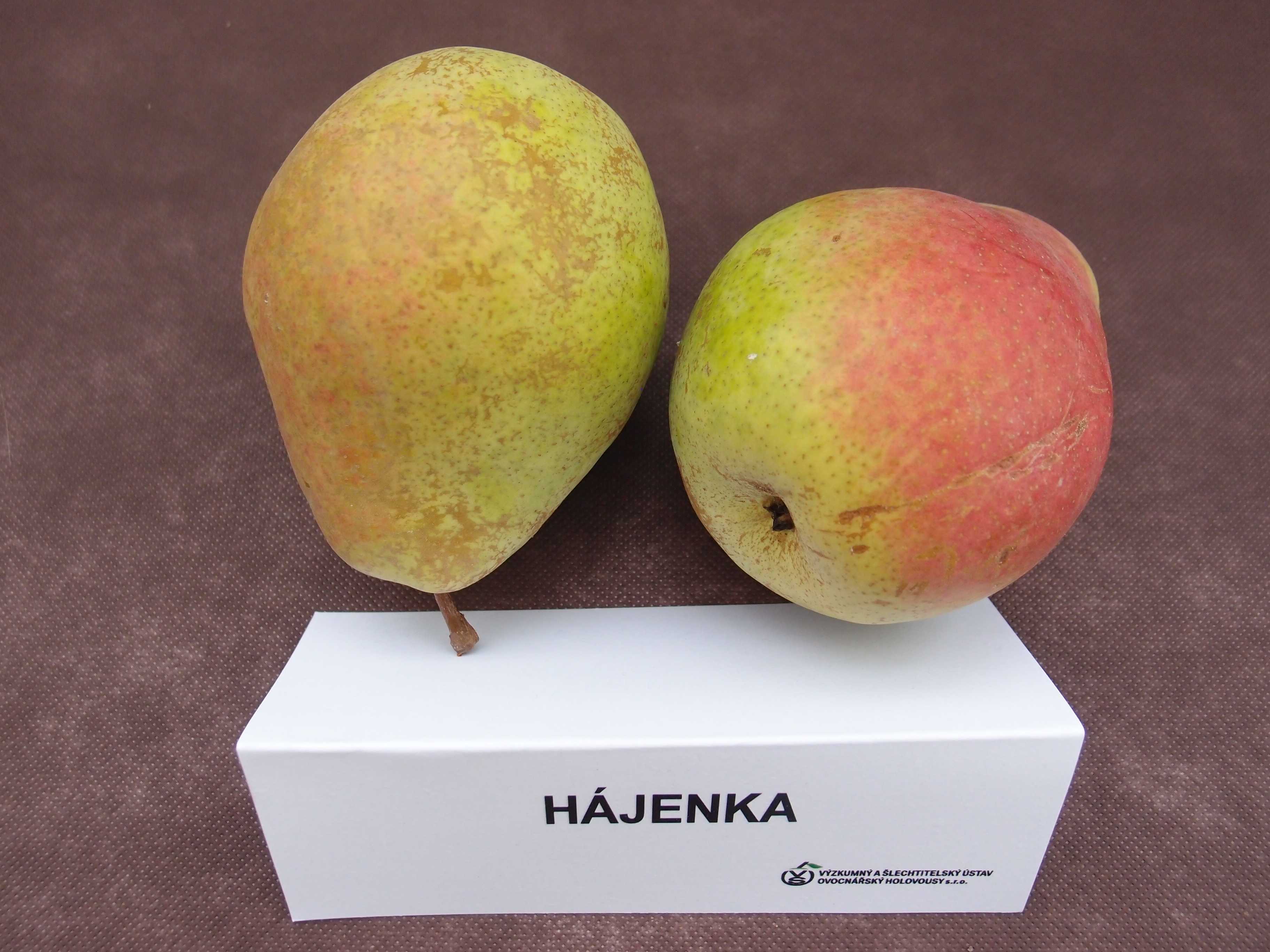 Šlechtění rostlin