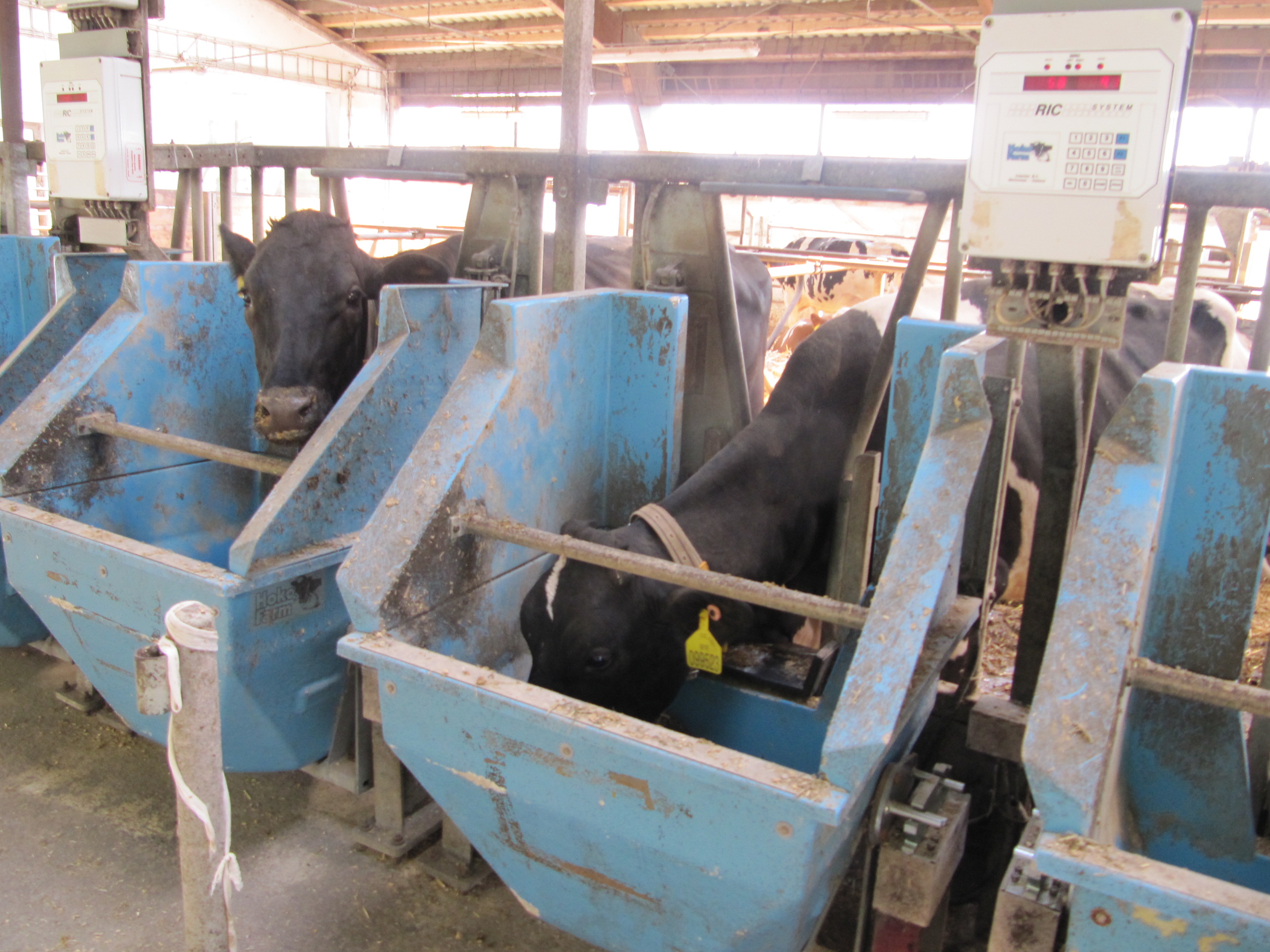 Kvalita a zpracování produktů