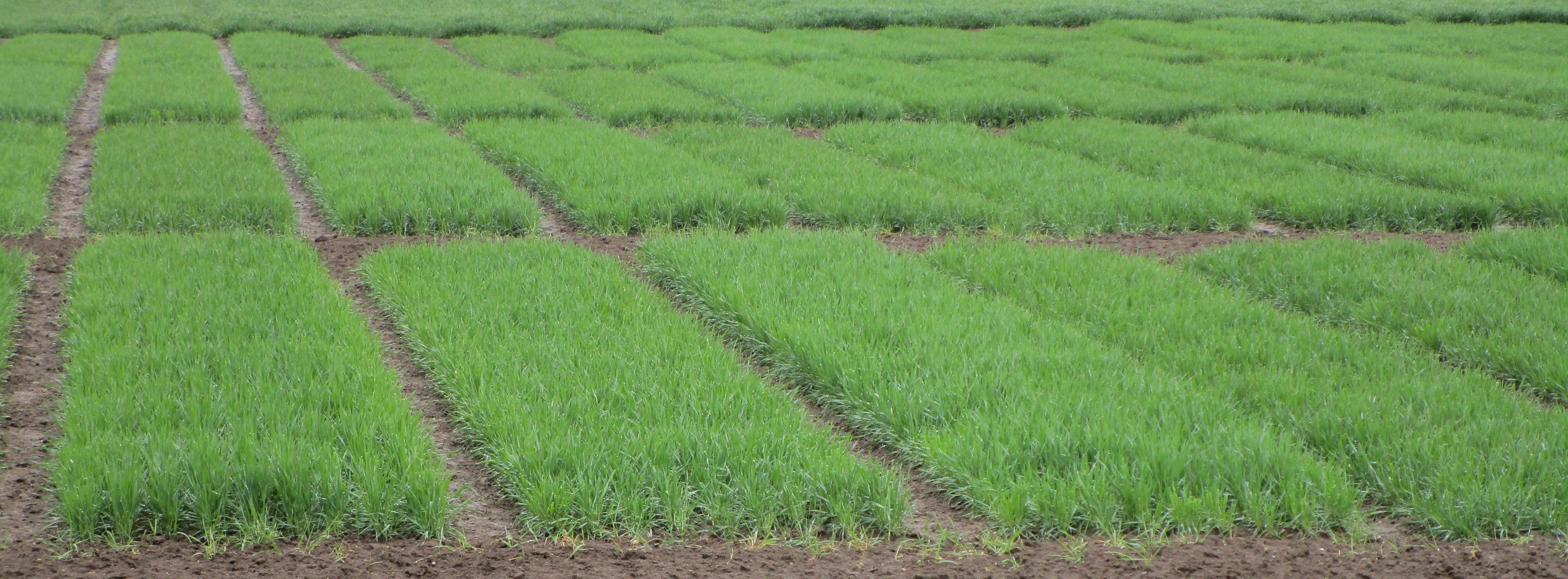 Kvalita a zpracování produktů