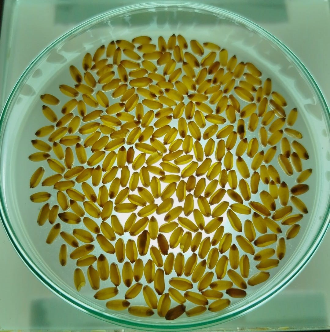 Kvalita a zpracování produktů