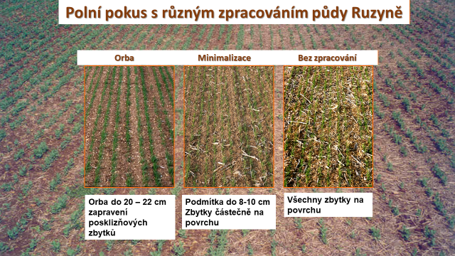 Technologie pěstování plodin a ekologie 