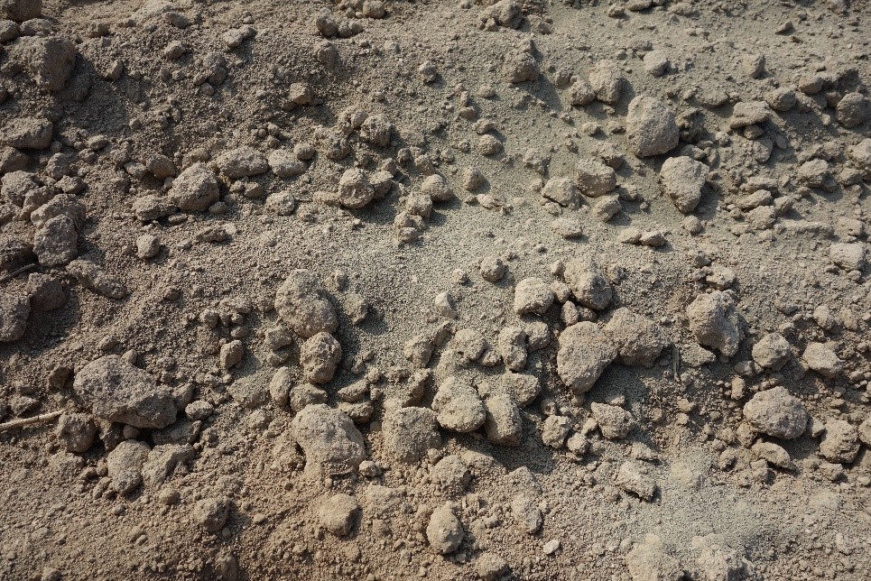 Technologie pěstování plodin a ekologie 