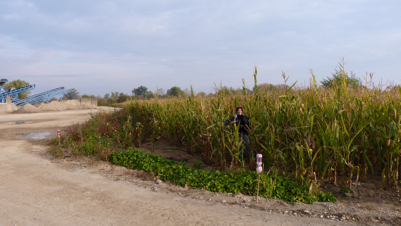 Technologie pěstování plodin a ekologie 